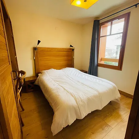 Daire Avec Piscine Interieure Sauna Parking Etage 1 Au Centre Du Village Dans Cami Real Saint-Lary-Soulan